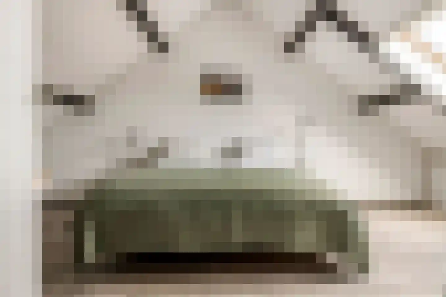 Larikslaan 6 Sleeuwijk thumbnail 27