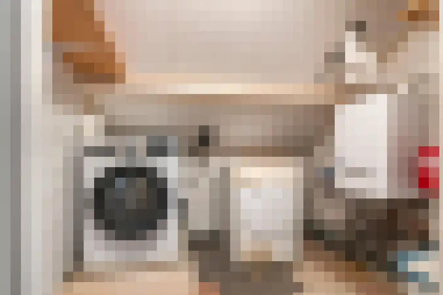Larikslaan 6 Sleeuwijk thumbnail 30