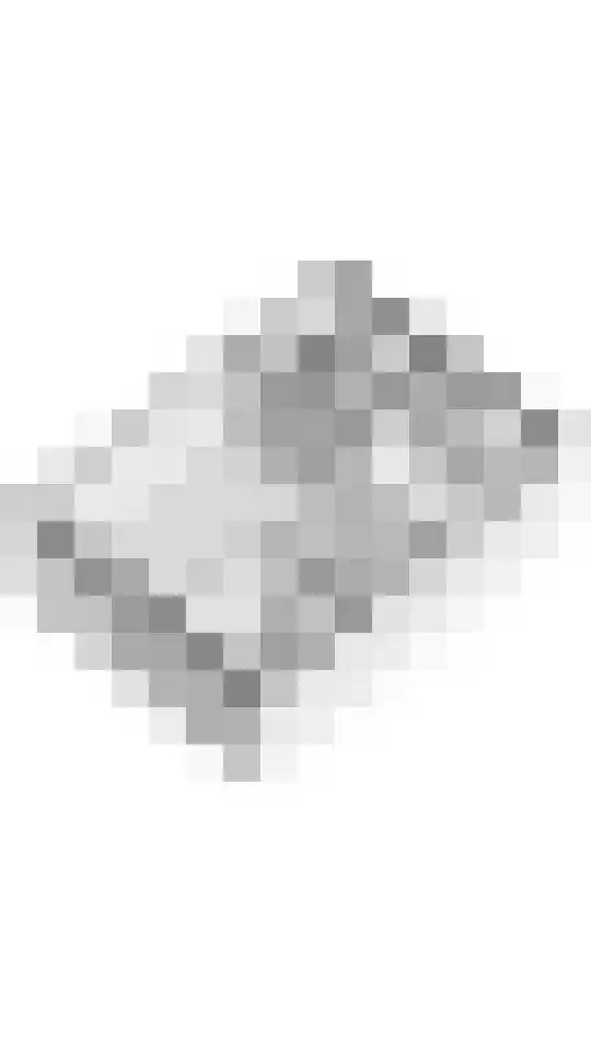 Larikslaan 6 Sleeuwijk thumbnail 39