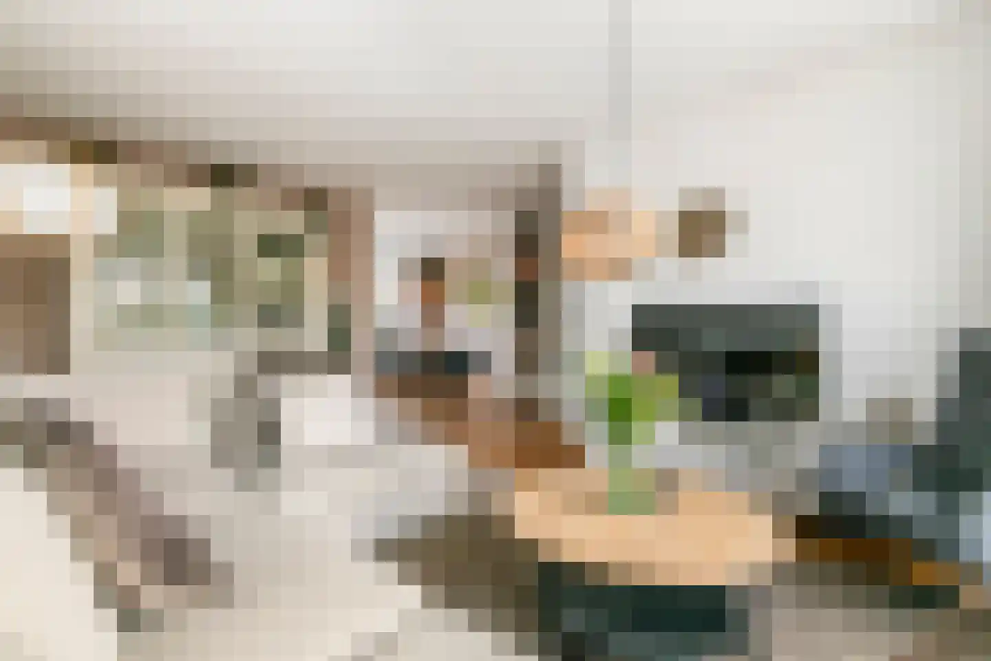 Larikslaan 6 Sleeuwijk thumbnail 6