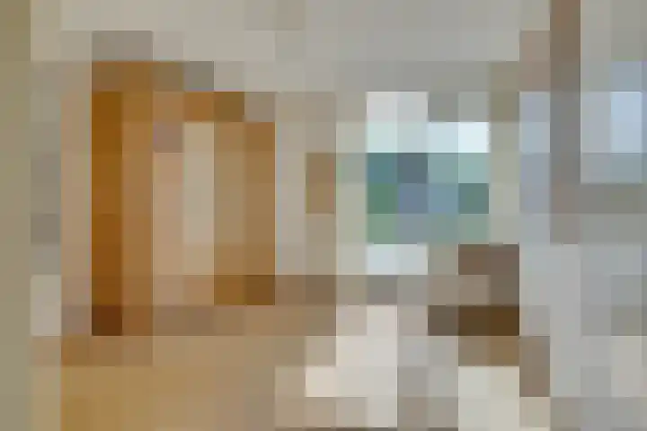 Larikslaan 8 Bilthoven thumbnail 24