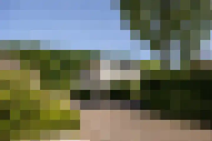 Larikslaan 8 Bilthoven thumbnail 34