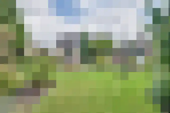 Larikslaan 84 Sleeuwijk thumbnail 33