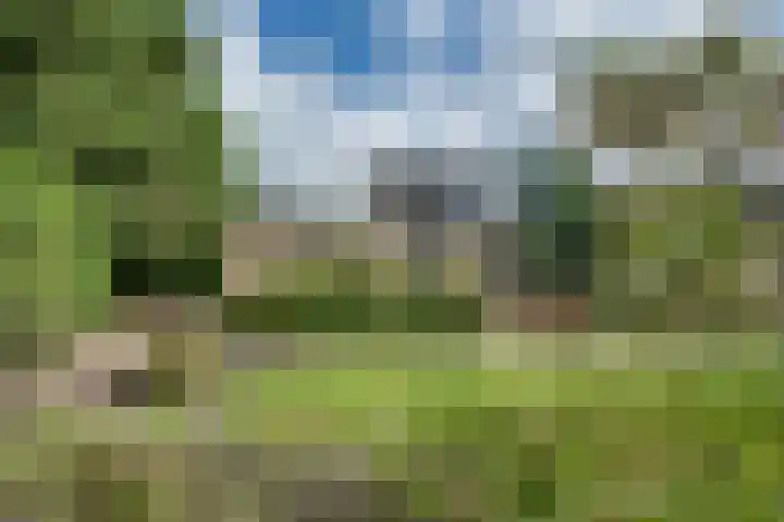 Larikslaan 84 Sleeuwijk thumbnail 34