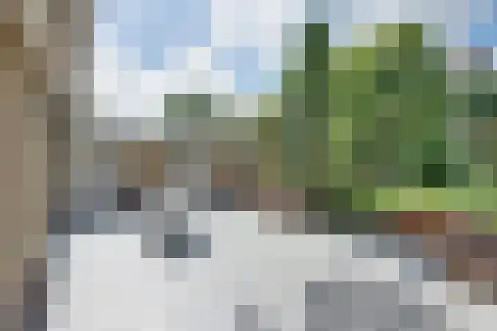 Larikslaan 84 Sleeuwijk thumbnail 35