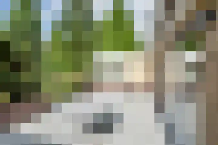 Larikslaan 84 Sleeuwijk thumbnail 36