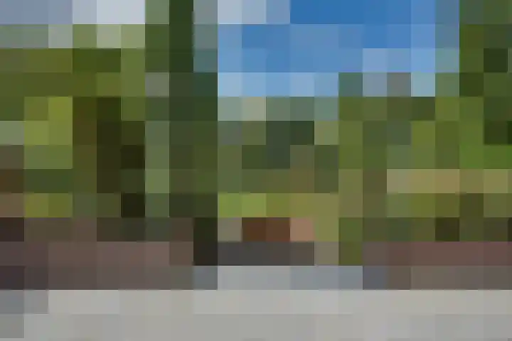 Larikslaan 84 Sleeuwijk thumbnail 38