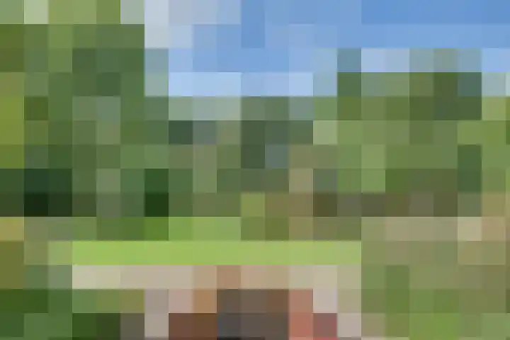 Larikslaan 84 Sleeuwijk thumbnail 39