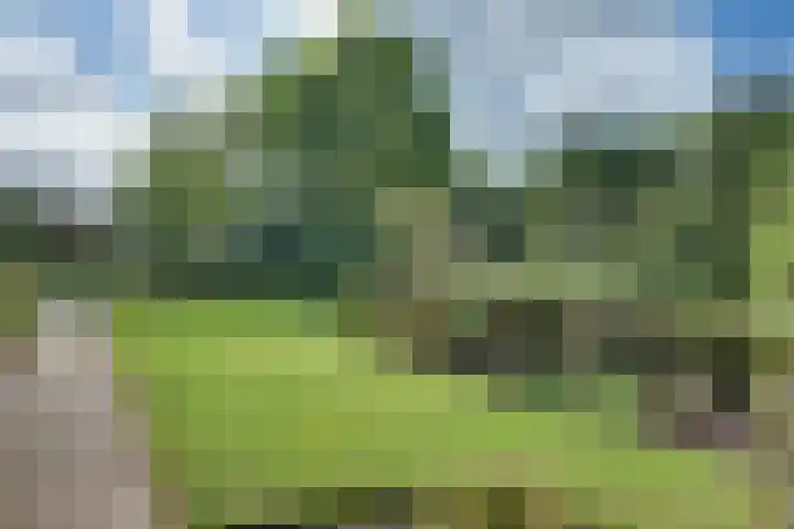 Larikslaan 84 Sleeuwijk thumbnail 40