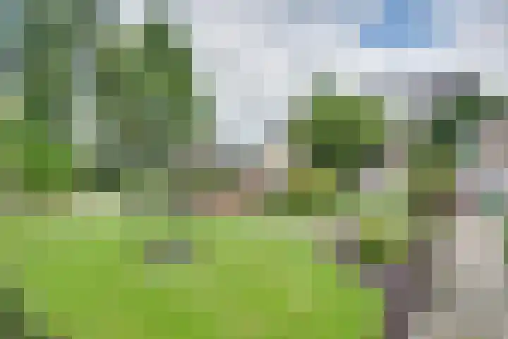 Larikslaan 84 Sleeuwijk thumbnail 41