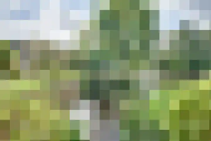 Larikslaan 84 Sleeuwijk thumbnail 42