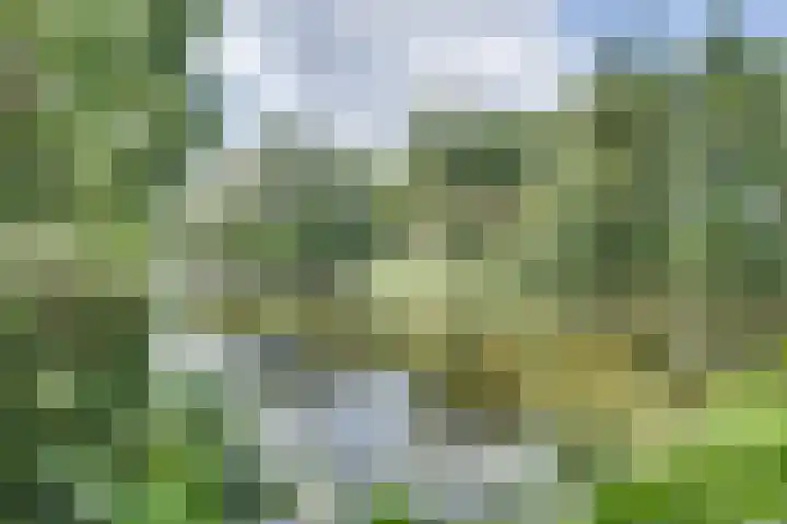 Larikslaan 84 Sleeuwijk thumbnail 43