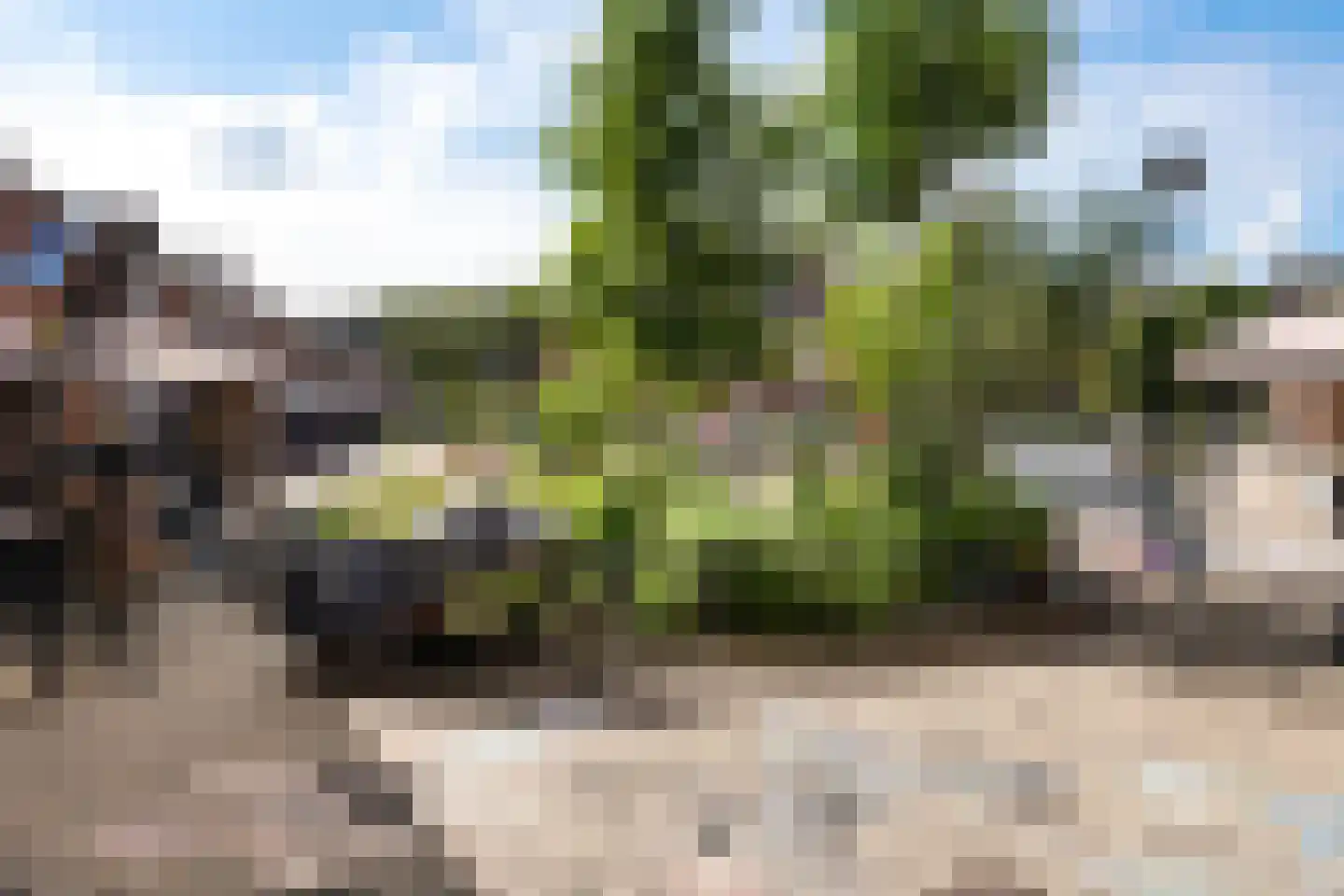 Lariksplein 12 A 's-Hertogenbosch thumbnail 13
