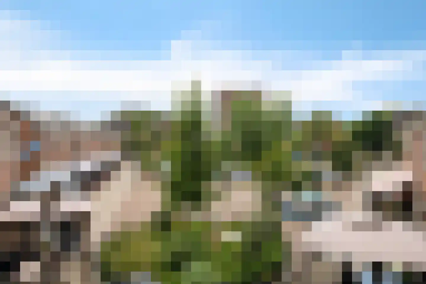 Lariksplein 12 A 's-Hertogenbosch thumbnail 17