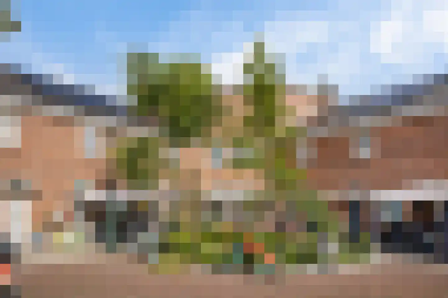 Lariksplein 12 C 's-Hertogenbosch