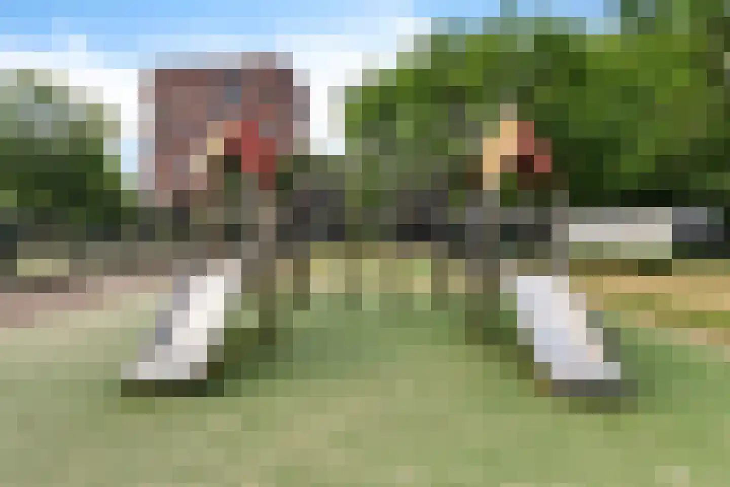 Lariksplein 12 C 's-Hertogenbosch thumbnail 21