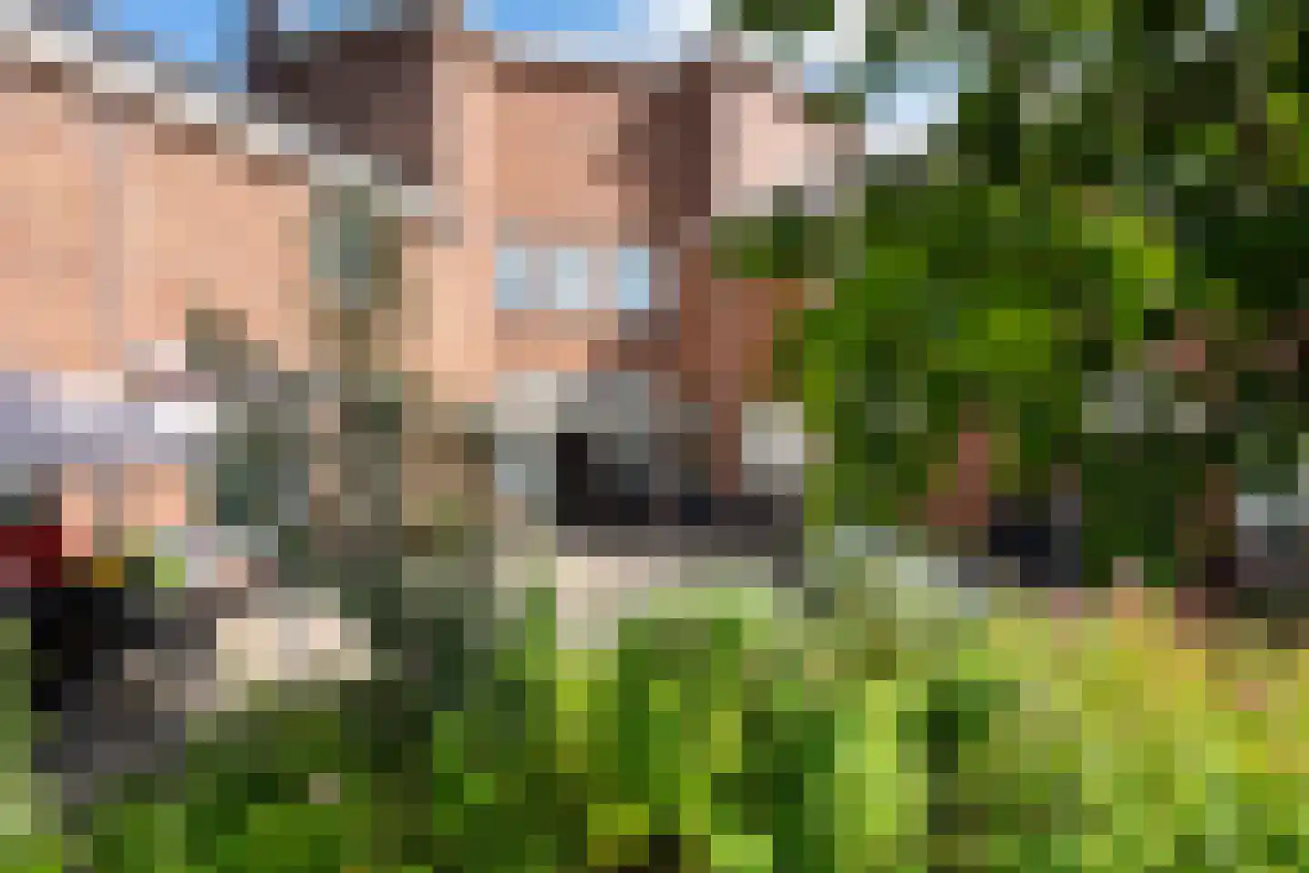 Lariksplein 12 C 's-Hertogenbosch thumbnail 4