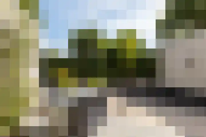 Lariksrode 15 Helmond thumbnail 39