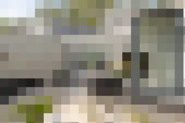 Lariksrode 15 Helmond thumbnail 41