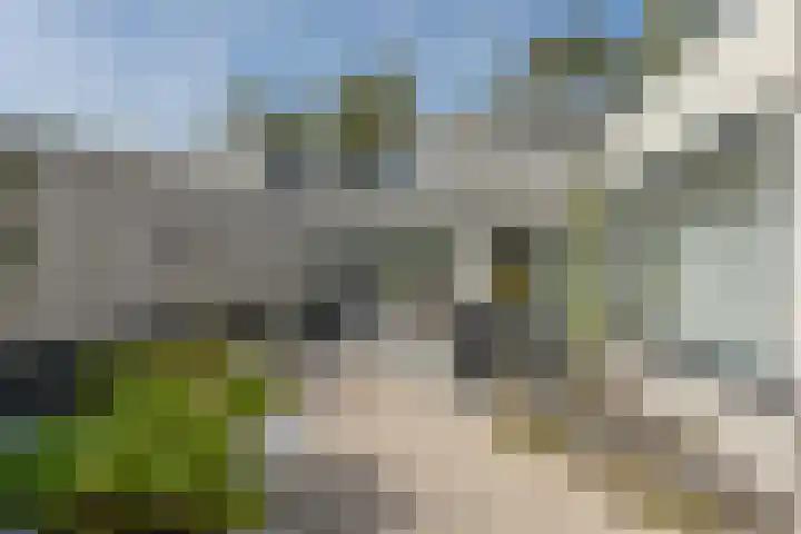 Lariksrode 15 Helmond thumbnail 42