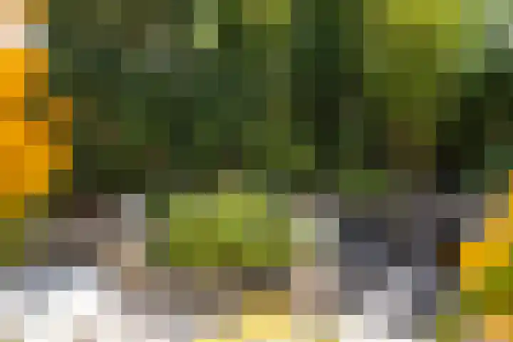 Lariksrode 15 Helmond thumbnail 46