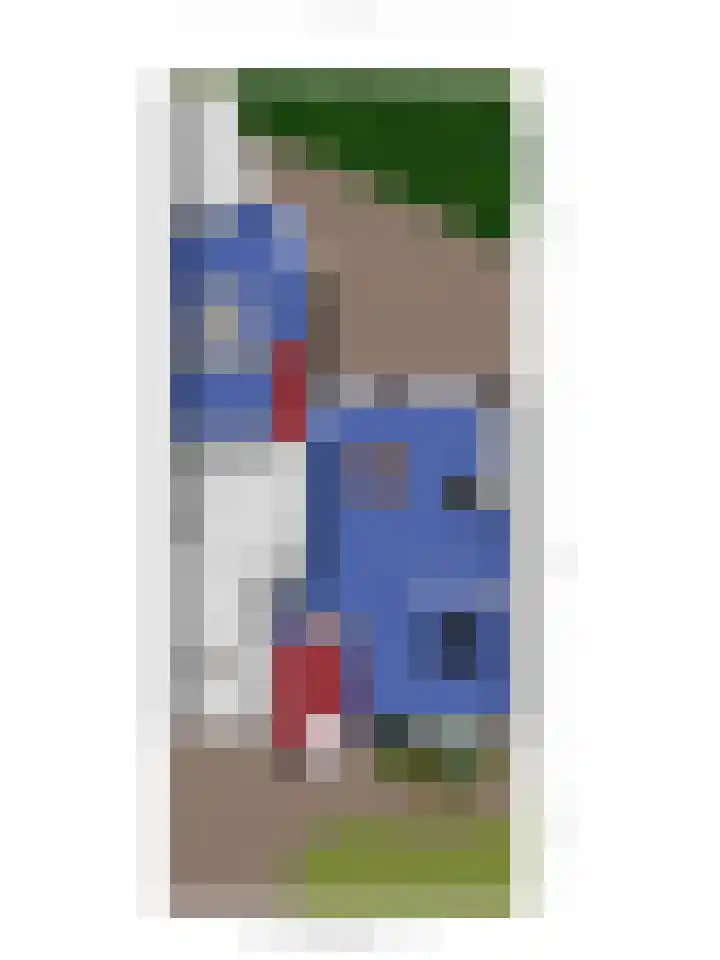 Lariksrode 15 Helmond thumbnail 47