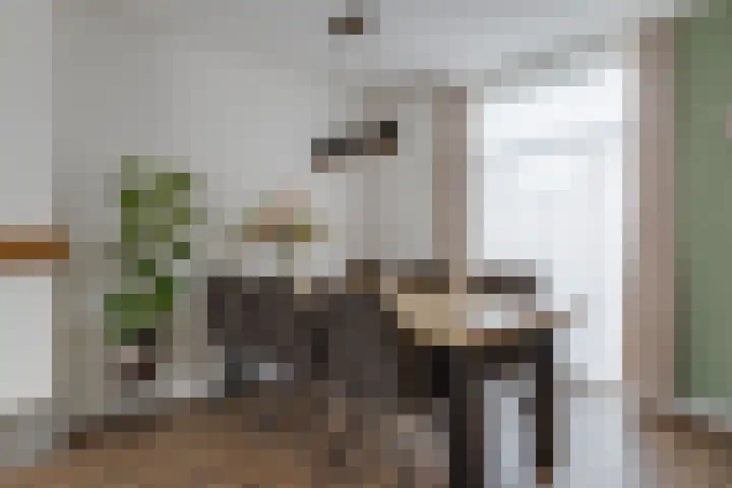 Lariksstraat 1 Winterswijk thumbnail 13