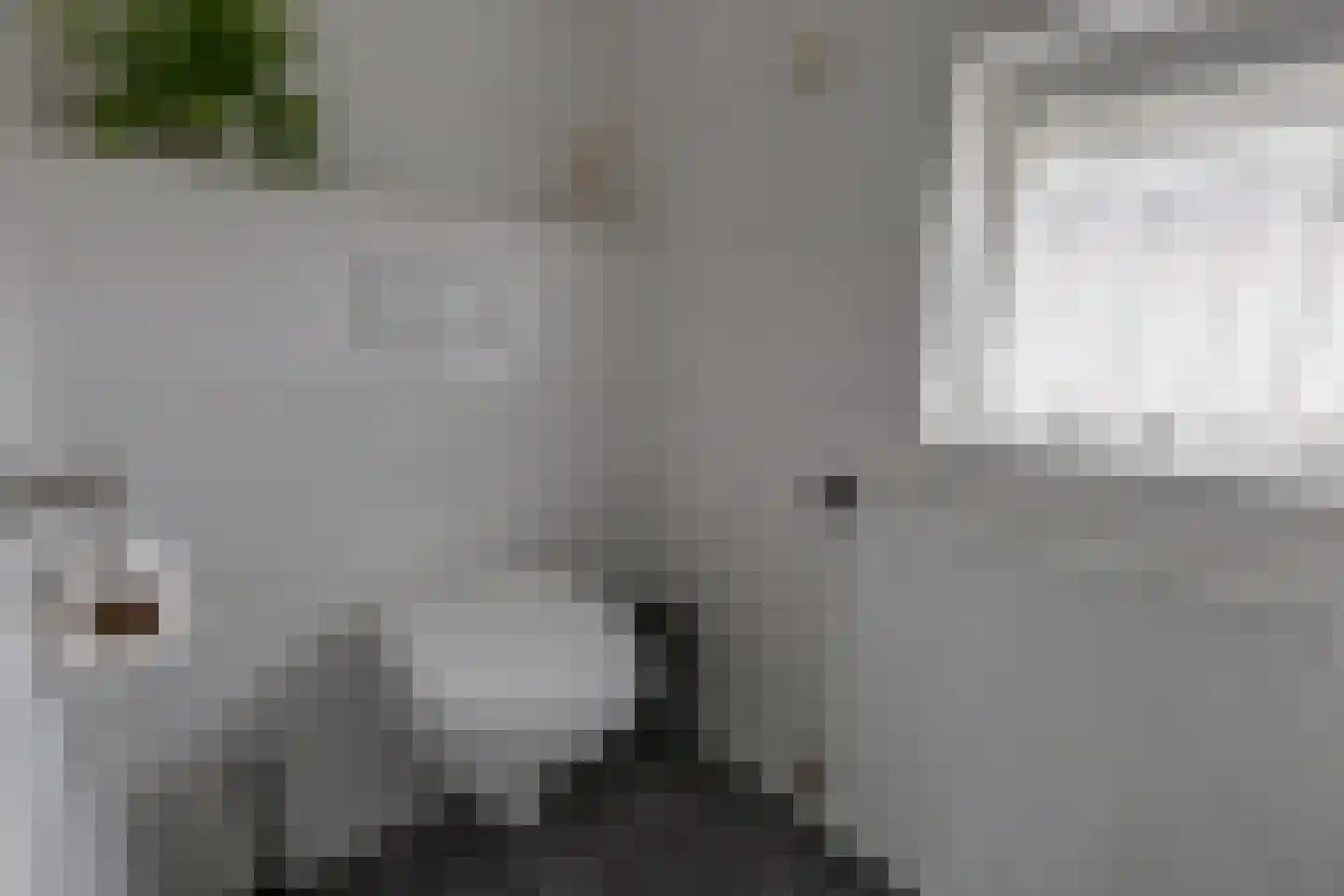 Lariksstraat 1 Winterswijk thumbnail 31