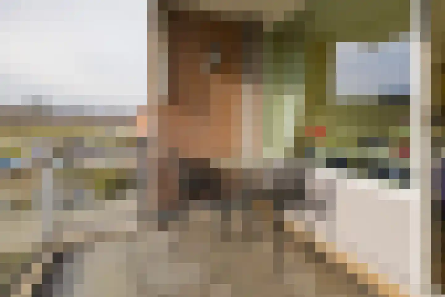 Lariksstraat 13 IJmuiden thumbnail 20