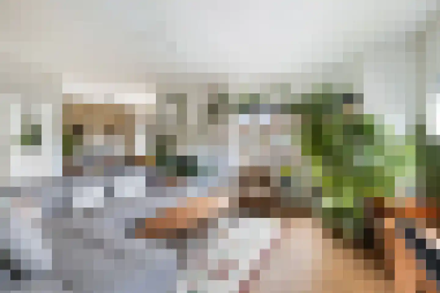 Lariksstraat 14 A Breda thumbnail 5