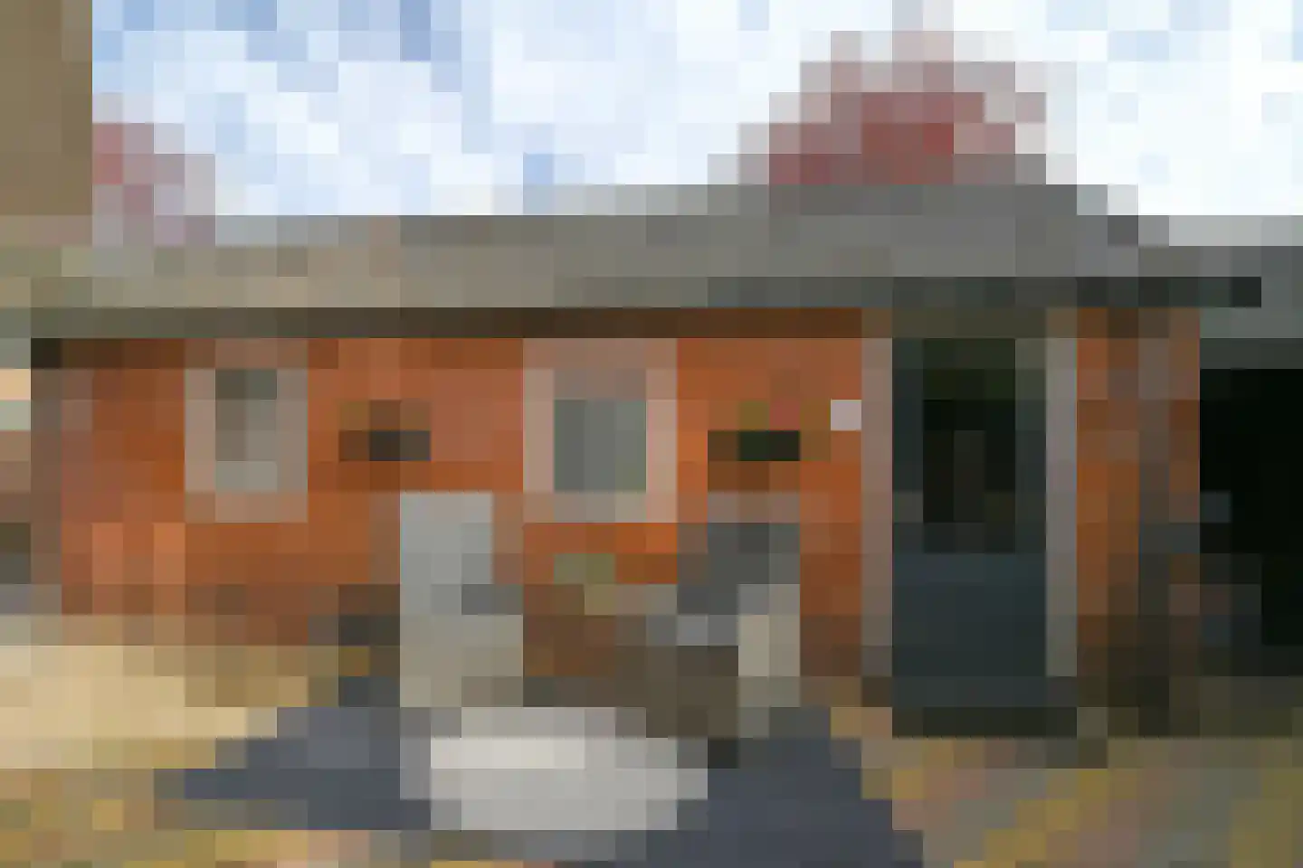 Lariksstraat 15 Putten thumbnail 18