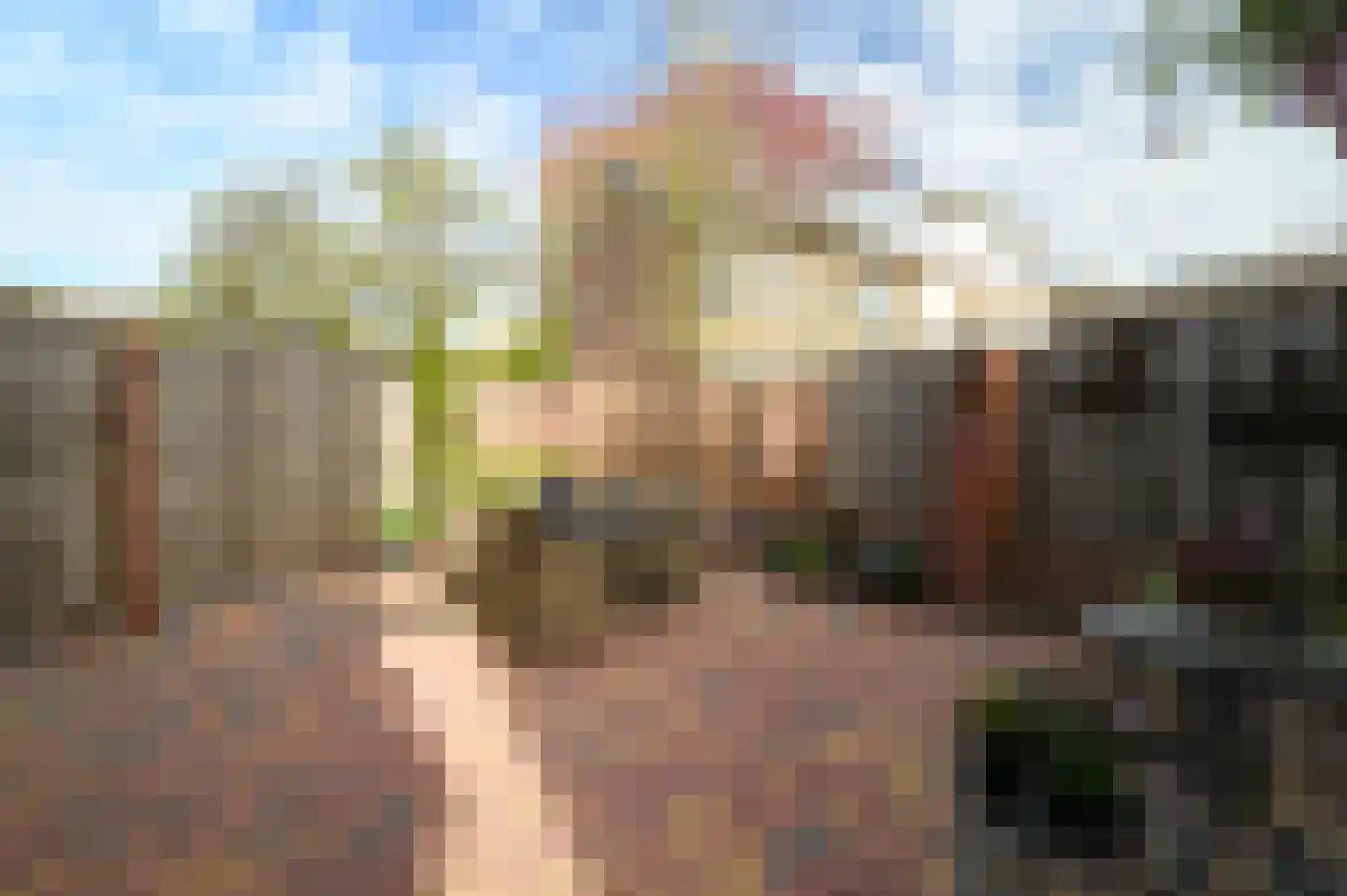 Lariksstraat 15 Putten thumbnail 21