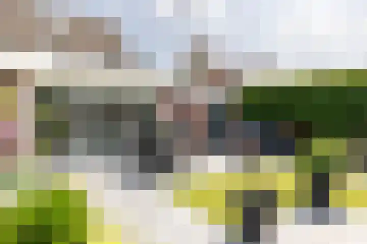 Lariksstraat 16 Lichtenvoorde thumbnail 35