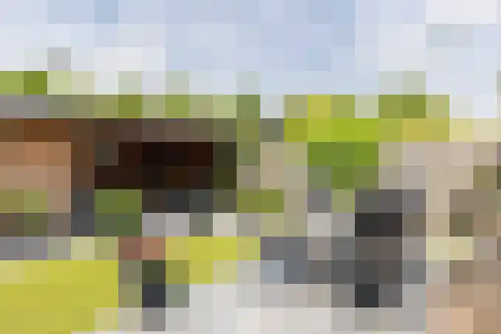 Lariksstraat 16 Lichtenvoorde thumbnail 37