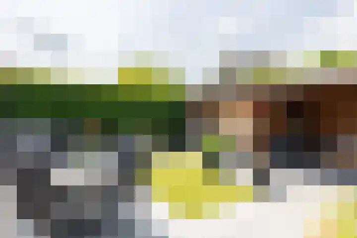 Lariksstraat 16 Lichtenvoorde thumbnail 38