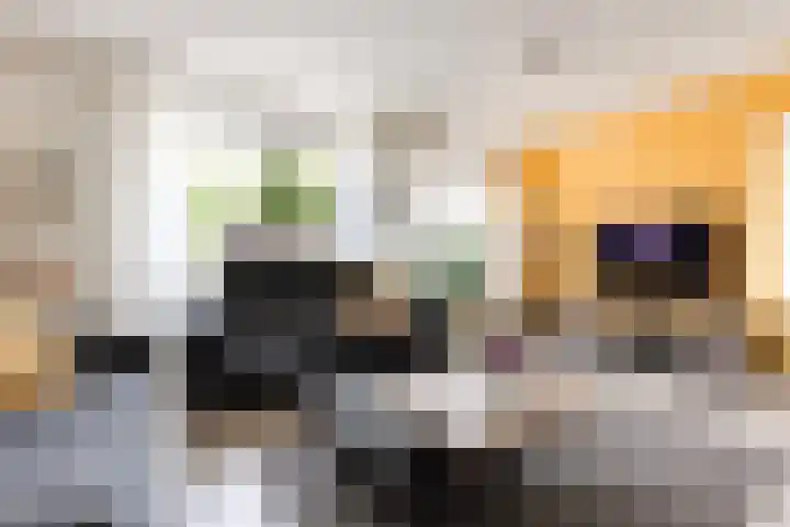 Lariksstraat 16 Lichtenvoorde thumbnail 7