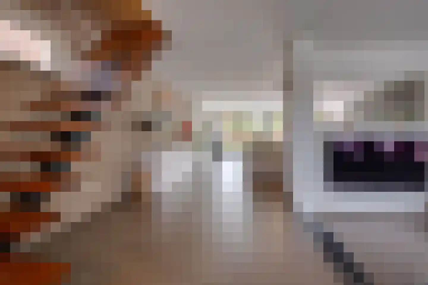 Lariksstraat 18 Echt thumbnail 10