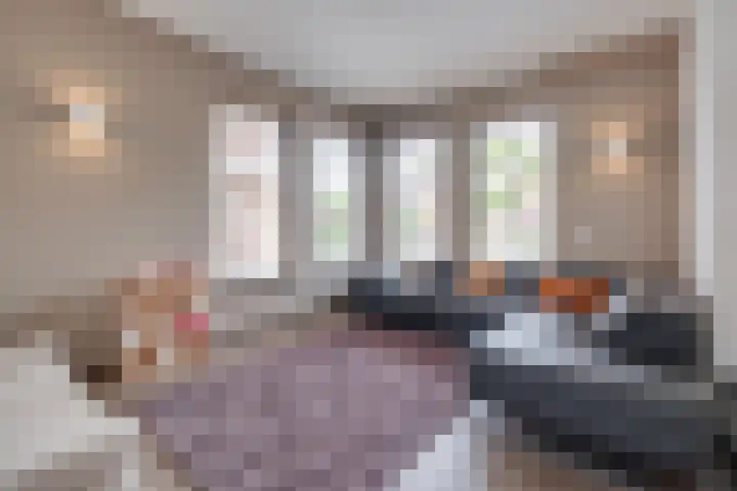 Lariksstraat 18 Echt thumbnail 12