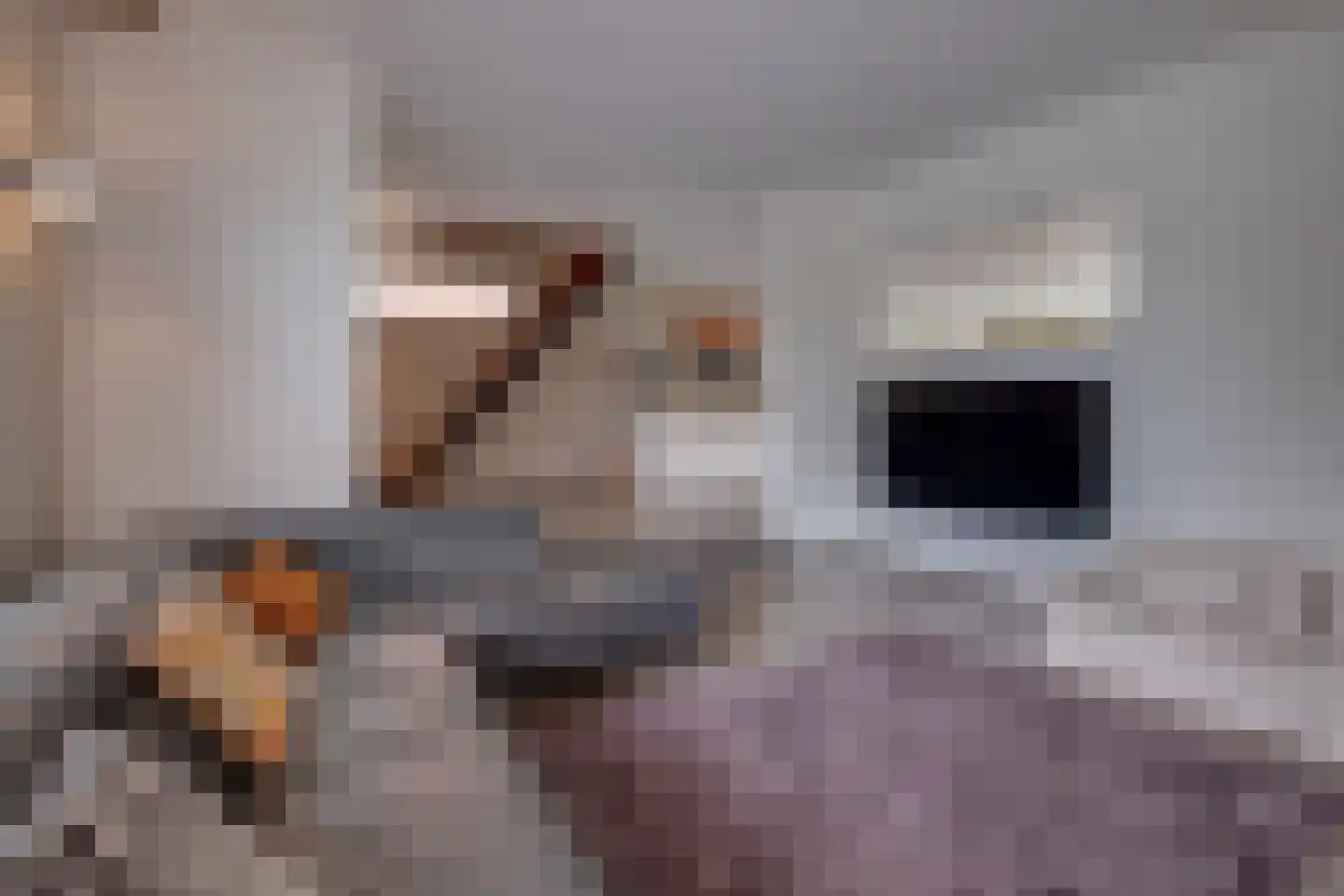 Lariksstraat 18 Echt thumbnail 13