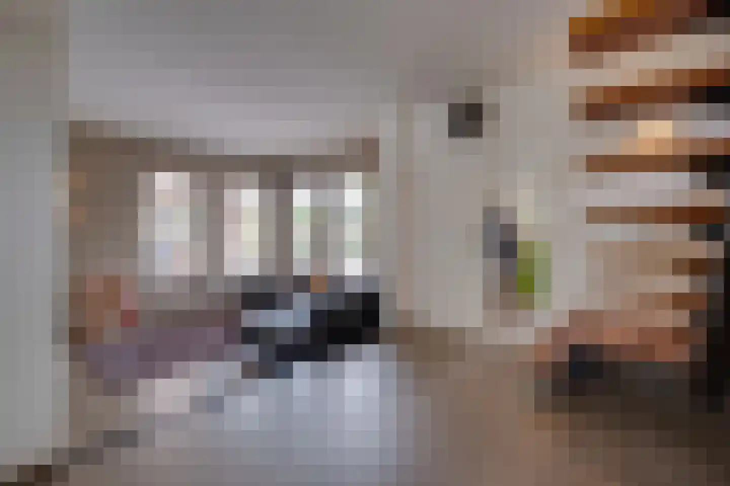 Lariksstraat 18 Echt thumbnail 14