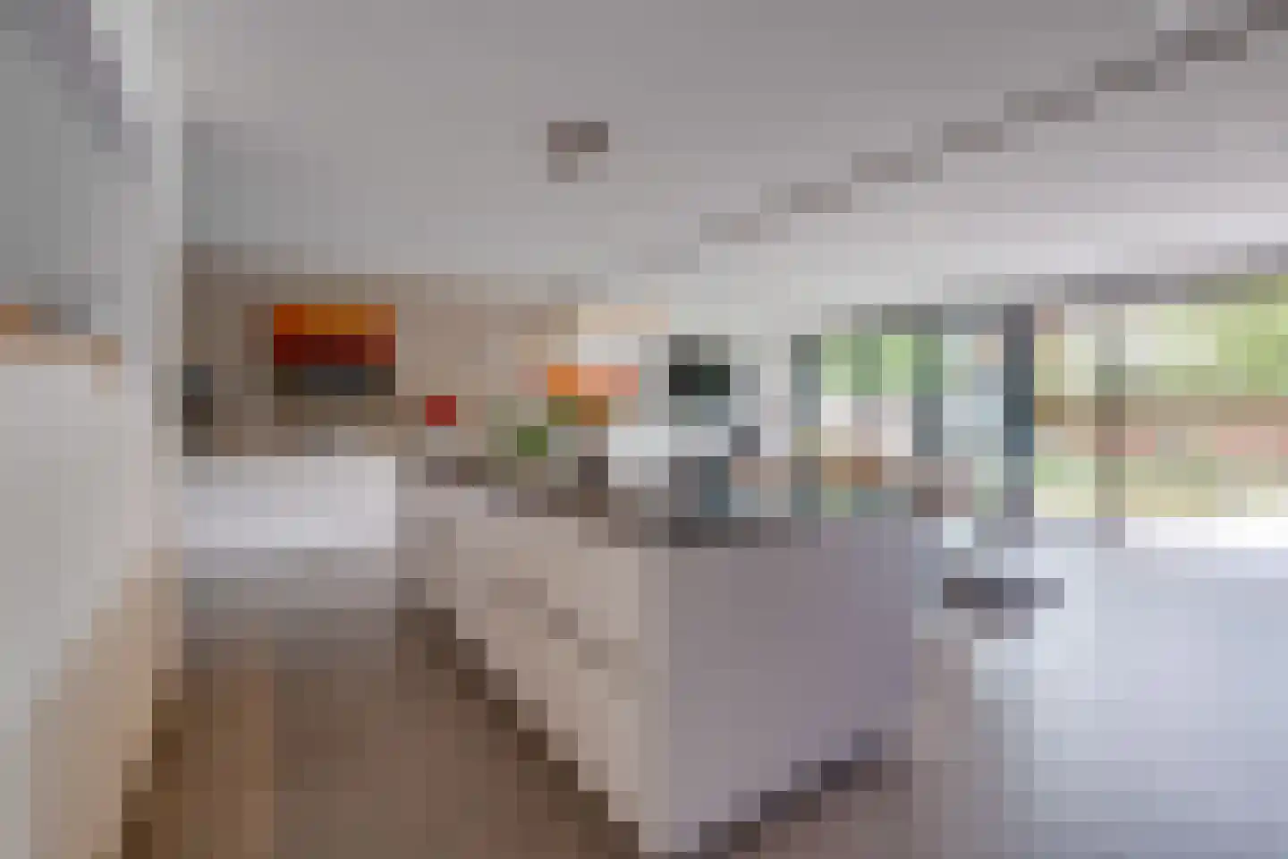 Lariksstraat 18 Echt thumbnail 16