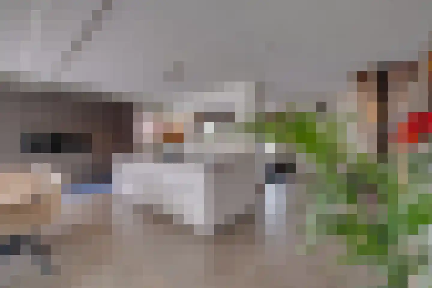 Lariksstraat 18 Echt thumbnail 17