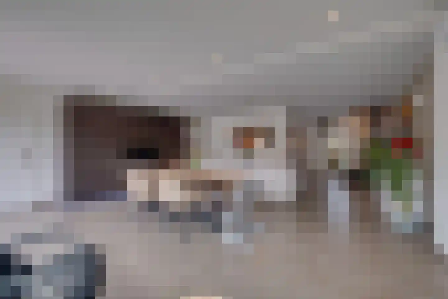 Lariksstraat 18 Echt thumbnail 18