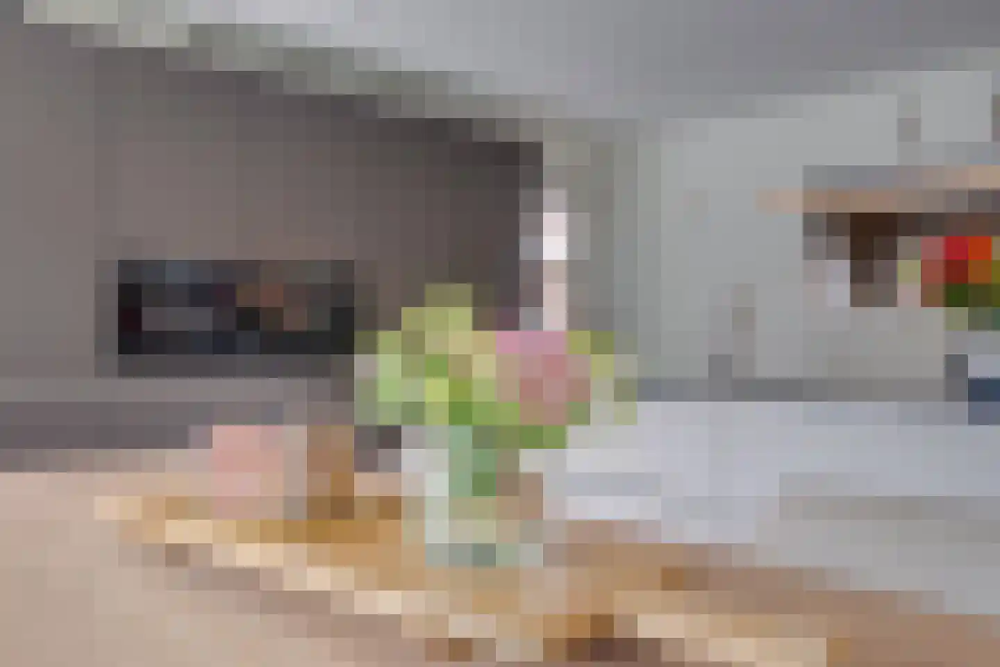 Lariksstraat 18 Echt thumbnail 19