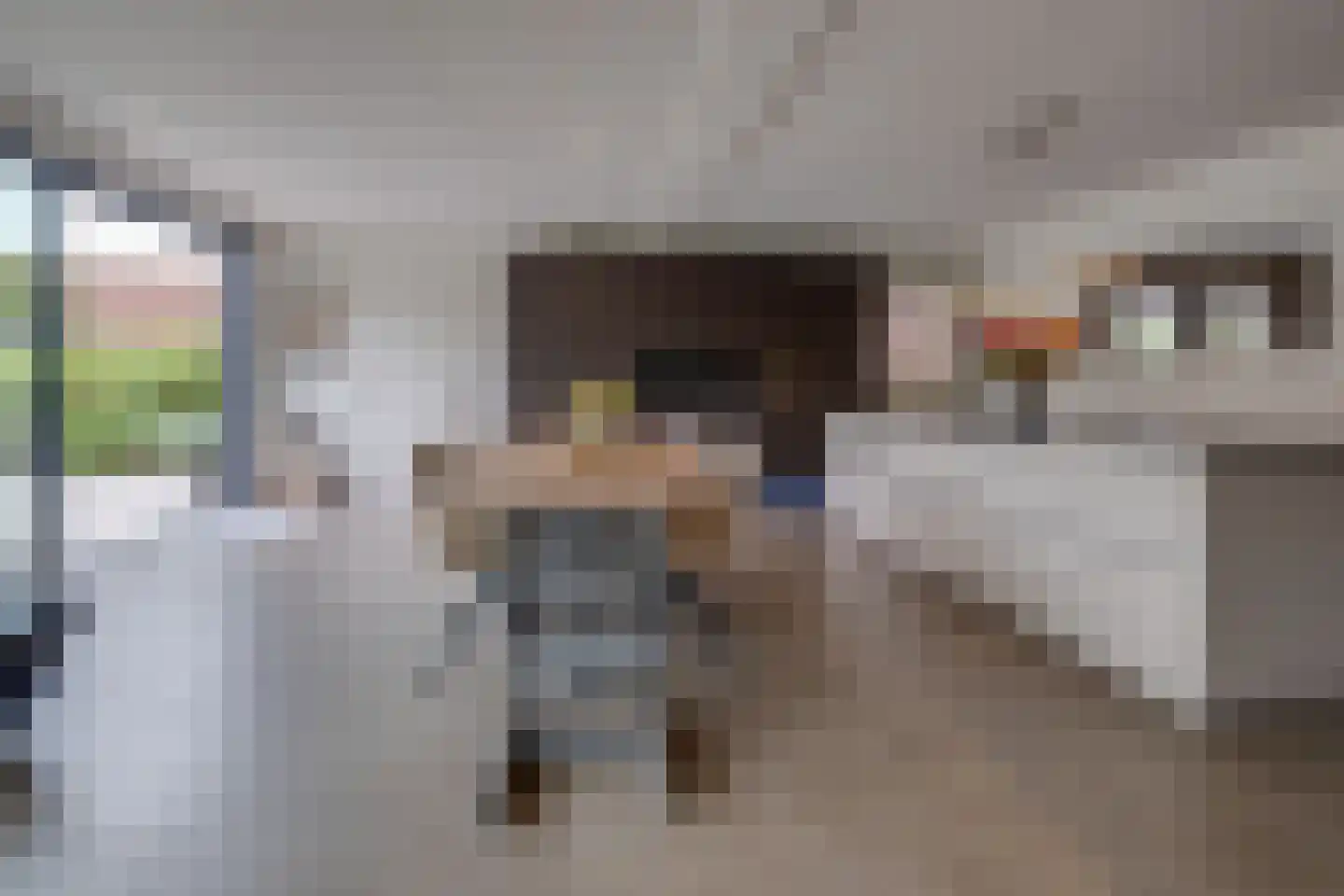 Lariksstraat 18 Echt thumbnail 20