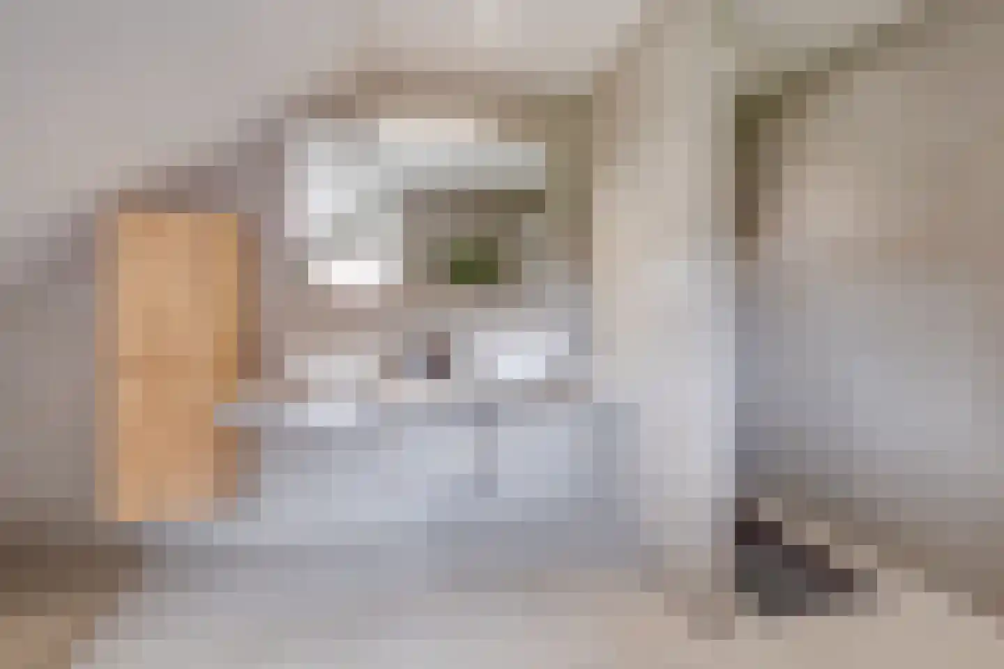 Lariksstraat 18 Echt thumbnail 27