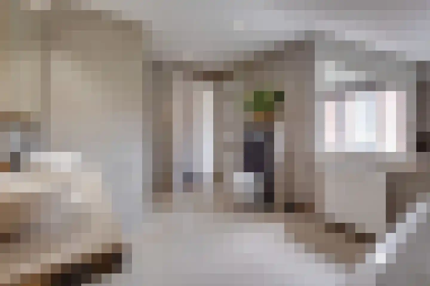 Lariksstraat 18 Echt thumbnail 28