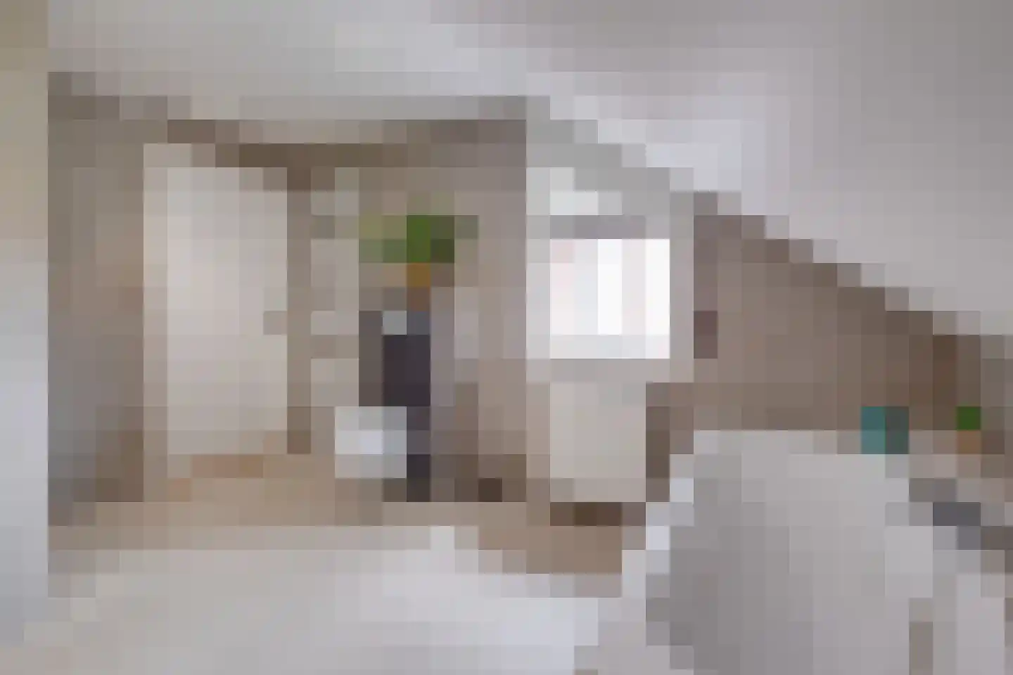 Lariksstraat 18 Echt thumbnail 29