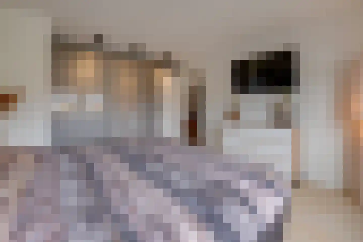 Lariksstraat 18 Echt thumbnail 32
