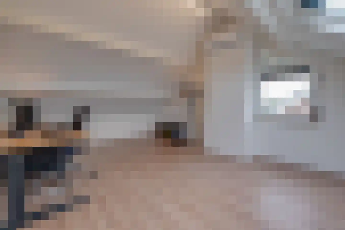 Lariksstraat 18 Echt thumbnail 39